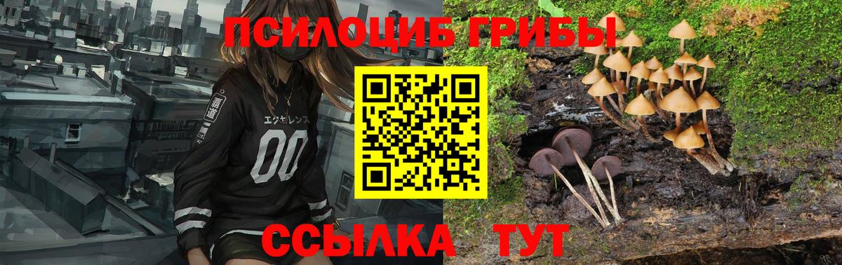 хочу наркоту  Вход с VPN  Галлюциногенные грибы Cubensis  Муравленко  Псилоцибиновые грибы Magic Shrooms 